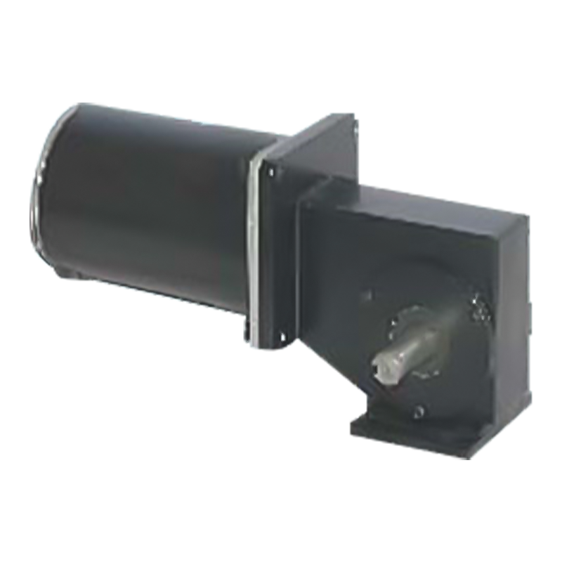 90JW/83ZY125 2000-3000 RPM Permanent Magnet Brushed Worm Gear Motor 90JW/83ZY125 2000-3000 RPM Permanent Magnet Brushed Worm Gear Motor