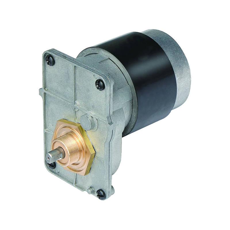 63mm Waterproof Corrosion-Resistant DC Gear Motor for Pool Cleaning Robots 63mm Waterproof Corrosion-Resistant DC Gear Motor for Pool Cleaning Robots